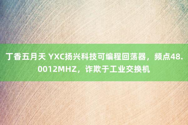 丁香五月天 YXC扬兴科技可编程回荡器，频点48.0012MHZ，诈欺于工业交换机