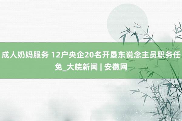 成人奶妈服务 12户央企20名开垦东说念主员职务任免_大皖新闻 | 安徽网