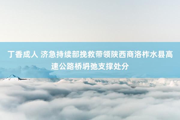 丁香成人 济急持续部挽救带领陕西商洛柞水县高速公路桥坍弛支撑处分