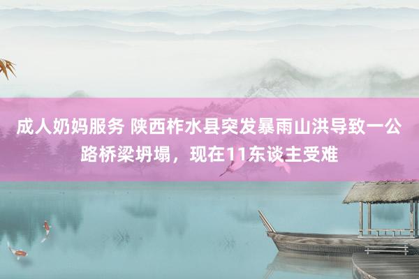 成人奶妈服务 陕西柞水县突发暴雨山洪导致一公路桥梁坍塌，现在11东谈主受难