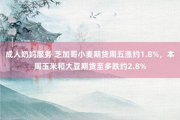 成人奶妈服务 芝加哥小麦期货周五涨约1.8%，本周玉米和大豆期货至多跌约2.8%