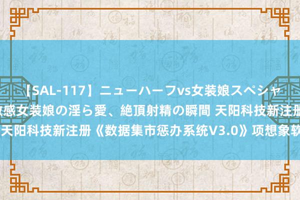 【SAL-117】ニューハーフvs女装娘スペシャル 猥褻ニューハーフと敏感女装娘の淫ら愛、絶頂射精の瞬間 天阳科技新注册《数据集市惩办系统V3.0》项想象软件文章权