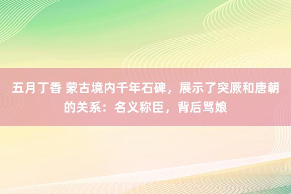 五月丁香 蒙古境内千年石碑，展示了突厥和唐朝的关系：名义称臣，背后骂娘