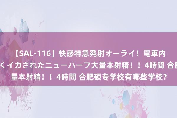 【SAL-116】快感特急発射オーライ！電車内で痴漢集団に気持ちよくイカされたニューハーフ大量本射精！！4時間 合肥硕专学校有哪些学校？