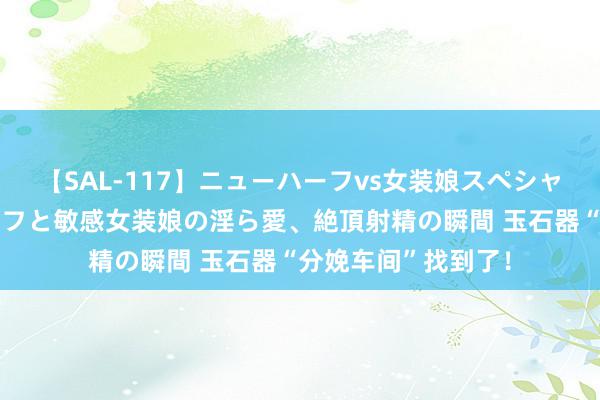 【SAL-117】ニューハーフvs女装娘スペシャル 猥褻ニューハーフと敏感女装娘の淫ら愛、絶頂射精の瞬間 玉石器“分娩车间”找到了！