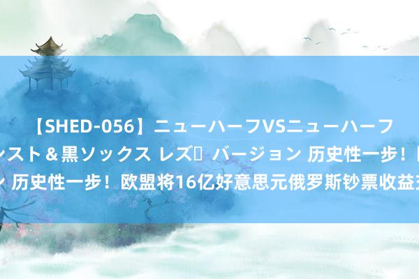 【SHED-056】ニューハーフVSニューハーフ 不純同性肛遊 3 黒パンスト＆黒ソックス レズ・バージョン 历史性一步！欧盟将16亿好意思元俄罗斯钞票收益交接给乌克兰