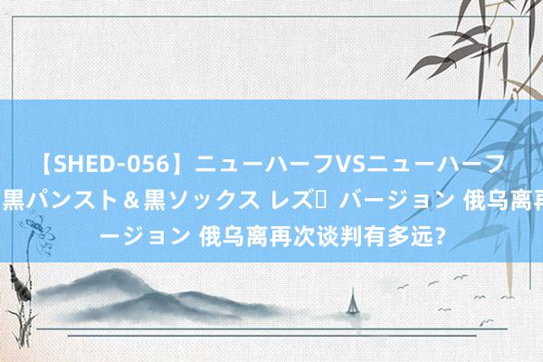 【SHED-056】ニューハーフVSニューハーフ 不純同性肛遊 3 黒パンスト＆黒ソックス レズ・バージョン 俄乌离再次谈判有多远？