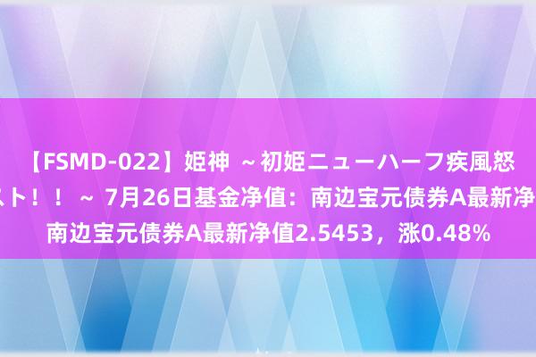 【FSMD-022】姫神 ～初姫ニューハーフ疾風怒濤の初撮り4時間ベスト！！～ 7月26日基金净值：南边宝元债券A最新净值2.5453，涨0.48%