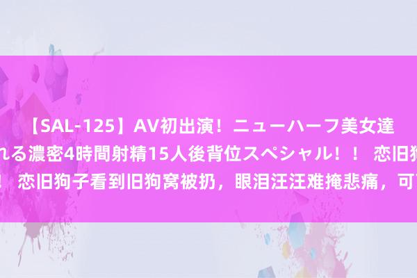 【SAL-125】AV初出演！ニューハーフ美女達が強烈バックで全員犯される濃密4時間射精15人後背位スペシャル！！ 恋旧狗子看到旧狗窝被扔，眼泪汪汪难掩悲痛，可下一秒...真香回转！