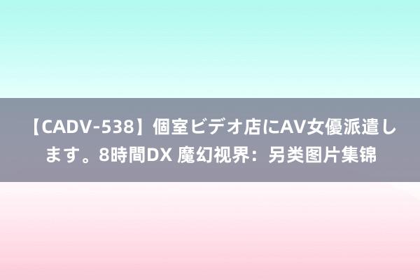 【CADV-538】個室ビデオ店にAV女優派遣します。8時間DX 魔幻视界：另类图片集锦