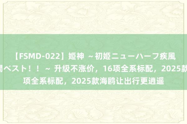 【FSMD-022】姫神 ～初姫ニューハーフ疾風怒濤の初撮り4時間ベスト！！～ 升级不涨价，16项全系标配，2025款海鸥让出行更逍遥