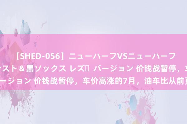 【SHED-056】ニューハーフVSニューハーフ 不純同性肛遊 3 黒パンスト＆黒ソックス レズ・バージョン 价钱战暂停，车价高涨的7月，油车比从前更惨？