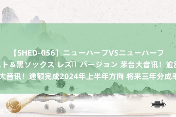 【SHED-056】ニューハーフVSニューハーフ 不純同性肛遊 3 黒パンスト＆黒ソックス レズ・バージョン 茅台大音讯！逾额完成2024年上半年方向 将来三年分成率拟不低于75%