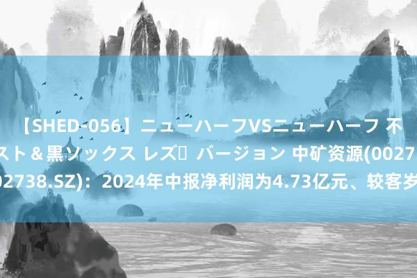 【SHED-056】ニューハーフVSニューハーフ 不純同性肛遊 3 黒パンスト＆黒ソックス レズ・バージョン 中矿资源(002738.SZ)：2024年中报净利润为4.73亿元、较客岁同时下落68.52%