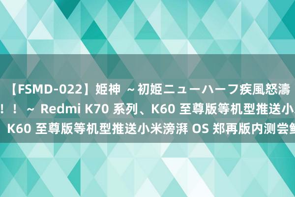 【FSMD-022】姫神 ～初姫ニューハーフ疾風怒濤の初撮り4時間ベスト！！～ Redmi K70 系列、K60 至尊版等机型推送小米滂湃 OS 郑再版内测尝鲜