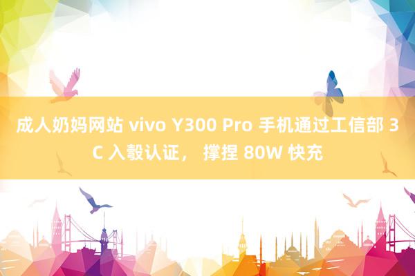 成人奶妈网站 vivo Y300 Pro 手机通过工信部 3C 入彀认证， 撑捏 80W 快充