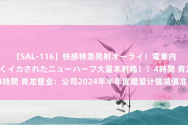 【SAL-116】快感特急発射オーライ！電車内で痴漢集団に気持ちよくイカされたニューハーフ大量本射精！！4時間 青龙管业：公司2024年半年度瞻望计提减值准备约4844万元