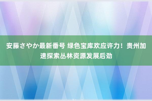 安藤さやか最新番号 绿色宝库欢应许力！贵州加速探索丛林资源发展后劲