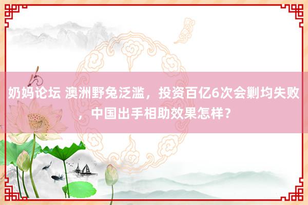 奶妈论坛 澳洲野兔泛滥，投资百亿6次会剿均失败，中国出手相助效果怎样？