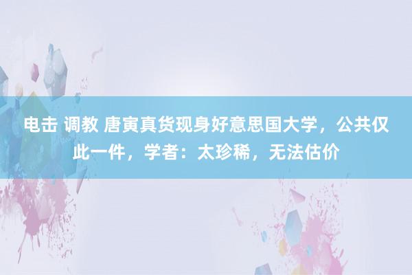 电击 调教 唐寅真货现身好意思国大学，公共仅此一件，学者：太珍稀，无法估价