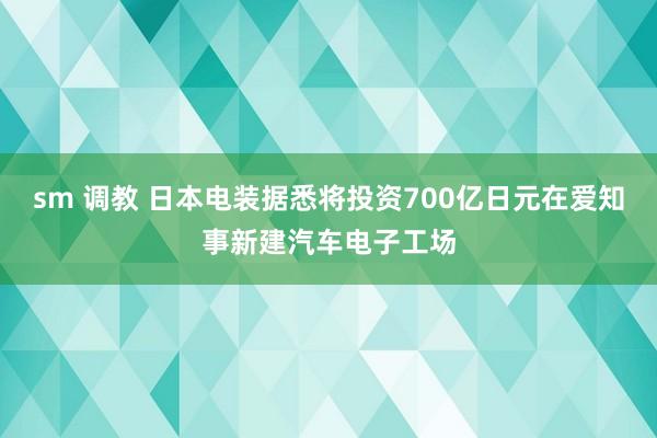 sm 调教 日本电装据悉将投资700亿日元在爱知事新建汽车电子工场