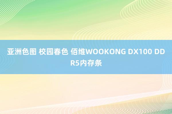 亚洲色图 校园春色 佰维WOOKONG DX100 DDR5内存条