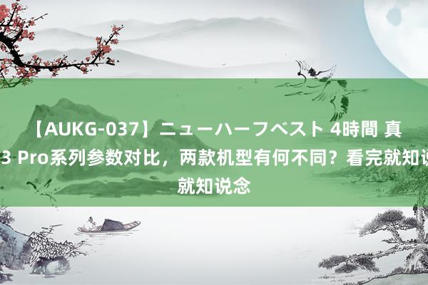 【AUKG-037】ニューハーフベスト 4時間 真我13 Pro系列参数对比，两款机型有何不同？看完就知说念