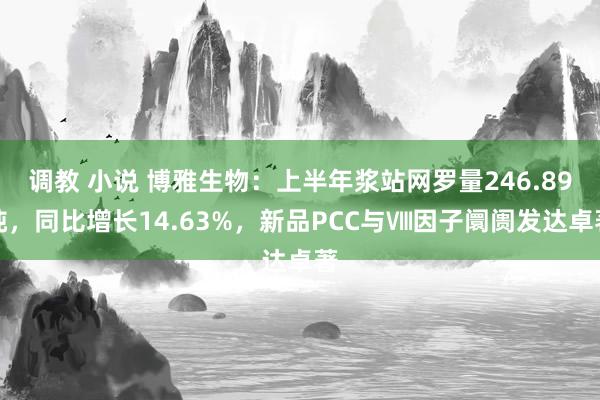 调教 小说 博雅生物：上半年浆站网罗量246.89吨，同比增长14.63%，新品PCC与Ⅷ因子阛阓发达卓著